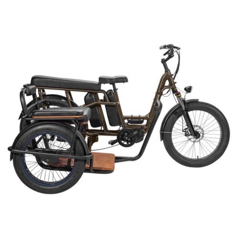 RaiderTrike-C201Durable side 3Wheel 750W Bafang motor Bicycle side car Electric Fat Tire Bike Electric Tricycles cargo Ebike