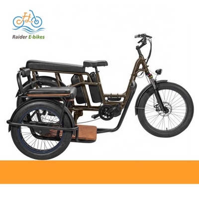 RaiderTrike-C201 BaFang Middle Motor 3wheel electric fat tire bike electric bicycle electric tricycle with side basket cargo car