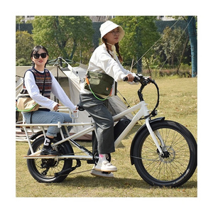 RaiderWagon-602s 26"20"750W Big Motor for Big Hauling electric cargo bike electric fat tire bike with long-tail cargo