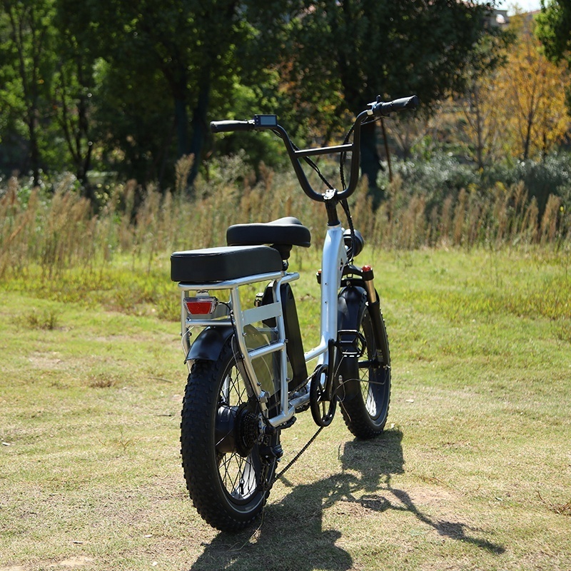 RaiderRunner-34F Electric Utility Bike 20