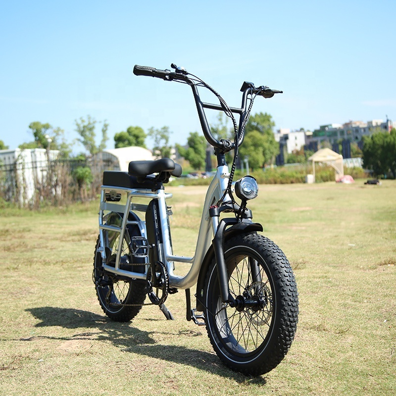 RaiderRunner-34F Electric Utility Bike 20