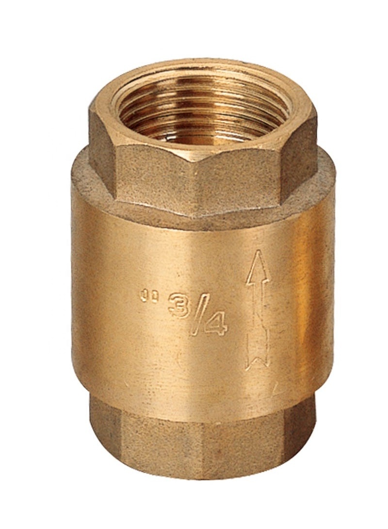 Female Thread Non-Return Fuel Oil Water Gas Air Spring Brass Check Valve For Sump Pump  and Air Compressor