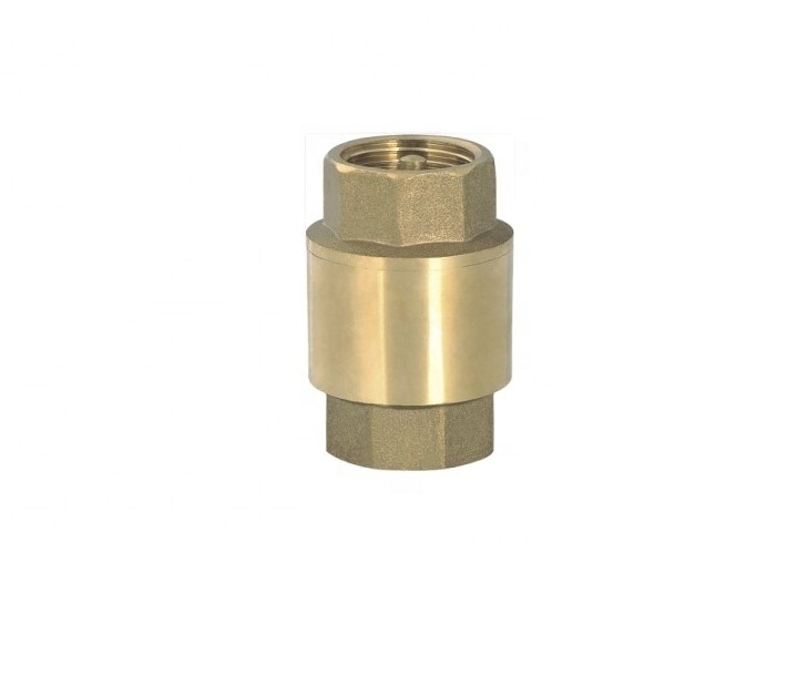 Female Thread Non-Return Fuel Oil Water Gas Air Spring Brass Check Valve For Sump Pump  and Air Compressor