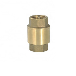 Female Thread Non-Return Fuel Oil Water Gas Air Spring Brass Check Valve For Sump Pump  and Air Compressor