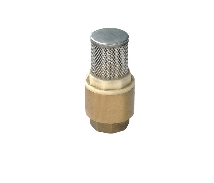 China Wholesales Female Thread Non-Return Fuel Oil Water Gas Brass Check Valve With Mesh Used for Sump Pump and Air Compressor