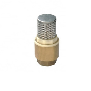 China Wholesales Female Thread Non-Return Fuel Oil Water Gas Brass Check Valve With Mesh Used for Sump Pump and Air Compressor