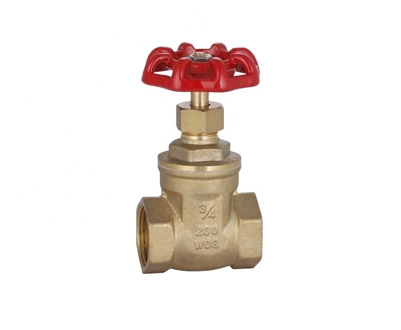 High Quality 1/2-4 Inch Forged Brass Gate Valve With Round Handle for WOG