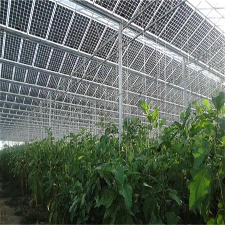 Commercial Multi Span Agricultural Photovoltaic Solar Venlo Glass Greenhouses for Sale