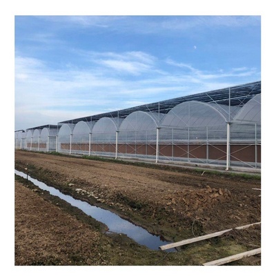 Agricultural Plastic Film Green Houses Agriculture Commercial Greenhouse Hydroponic Growing Systems