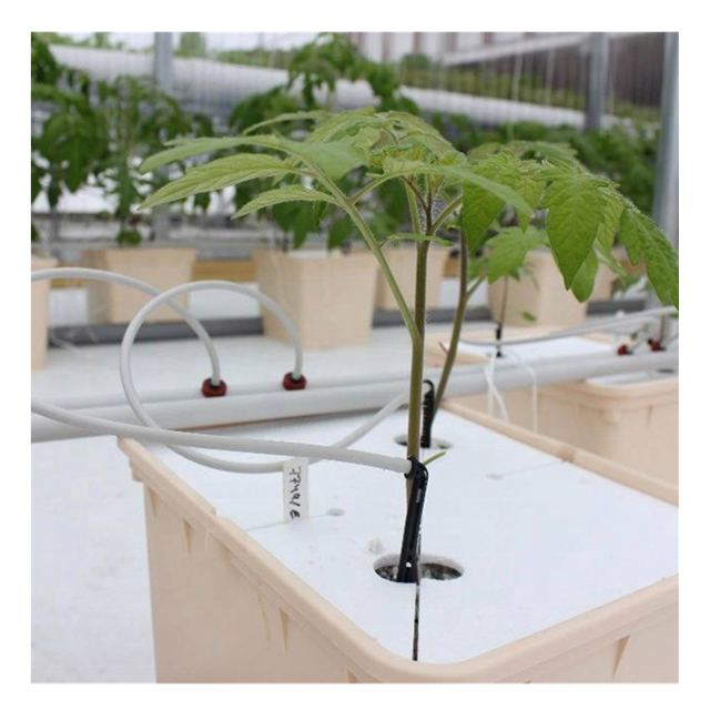 Hydroponic Bucket Growing Systems Tomato Hydroponic System Dutch Bucket