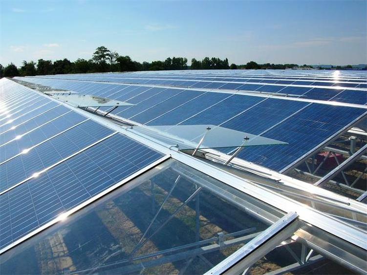 Commercial Multi Span Agricultural Photovoltaic Solar Venlo Glass Greenhouses for Sale