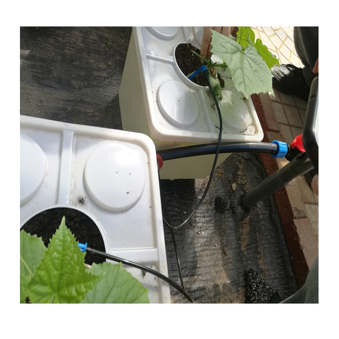 Dutch Buckets Hydroponic System for Cucumber