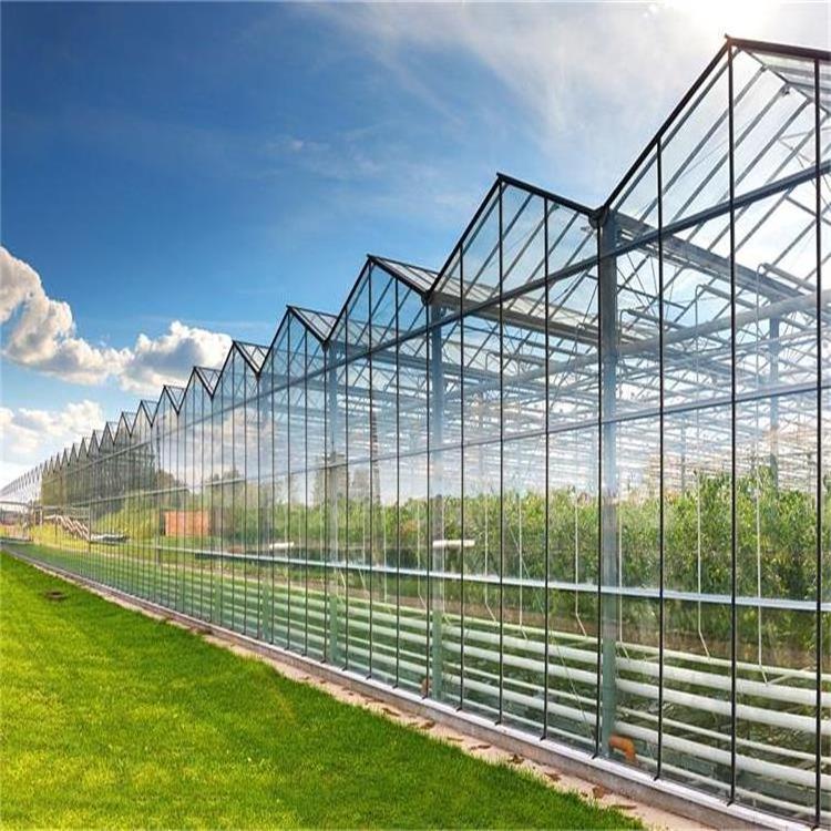 2023 smart commercial hydroponic systems solar tomato glass greenhouse used for sale