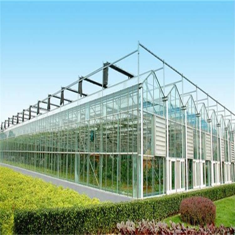 2023 smart commercial hydroponic systems solar tomato glass greenhouse used for sale