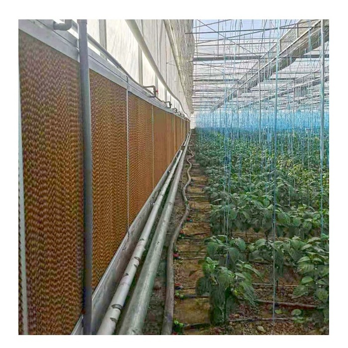 Agricultural Plastic Film Green Houses Agriculture Commercial Greenhouse Hydroponic Growing Systems