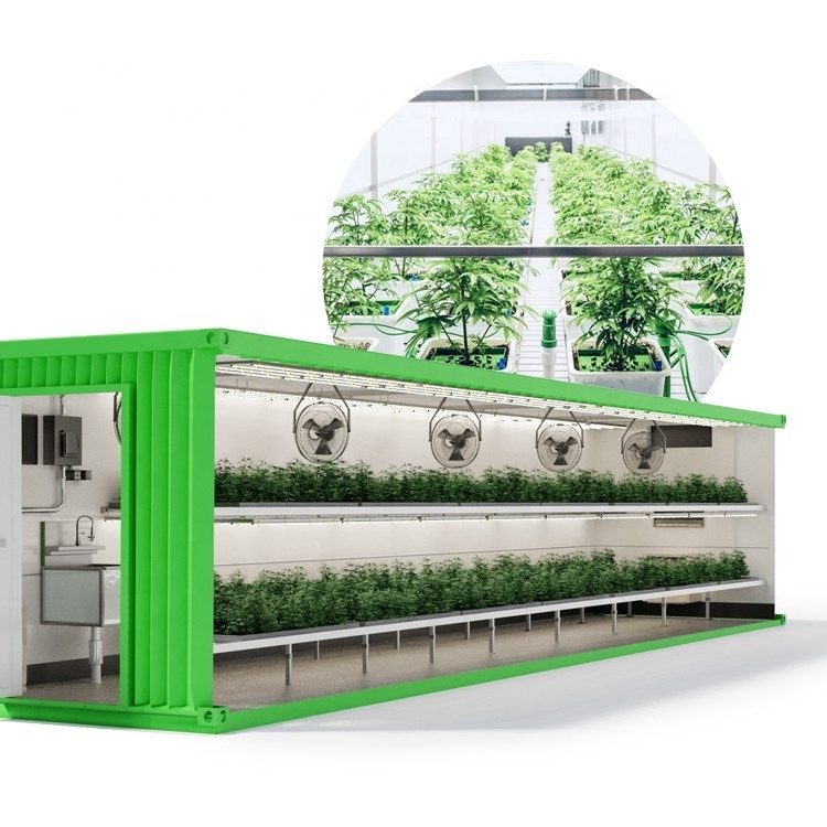 Shipping Container Hydroponic Container Greenhouse Hydroponic Container Farm