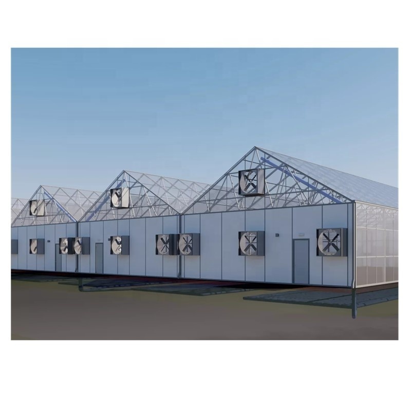 Commercial gutter connect automated blackout shade  greenhouse light deprivation greenhouse green house for agriculture