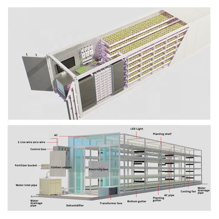 Shipping Container Hydroponic Container Greenhouse Hydroponic Container Farm