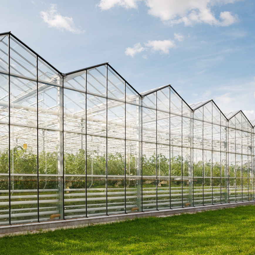 Commercial Multi Span Agricultural Photovoltaic Solar Venlo Glass Greenhouses for Sale