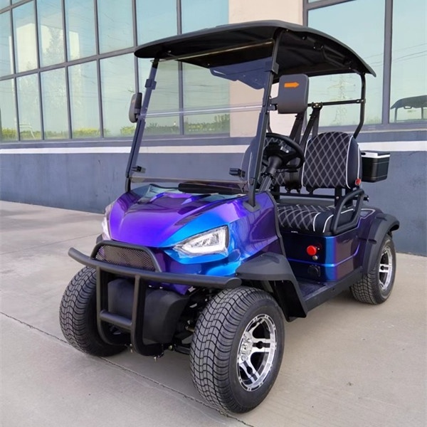 Cheap Luxury  2 Seater Low Speed Vehicle 4 Wheel Drive Push Electric Golf Cart used golf buggy club car For Sale