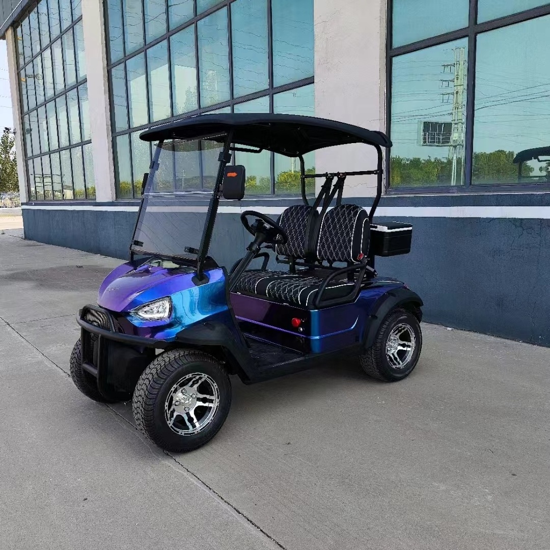 Cheap Luxury  2 Seater Low Speed Vehicle 4 Wheel Drive Push Electric Golf Cart used golf buggy club car For Sale