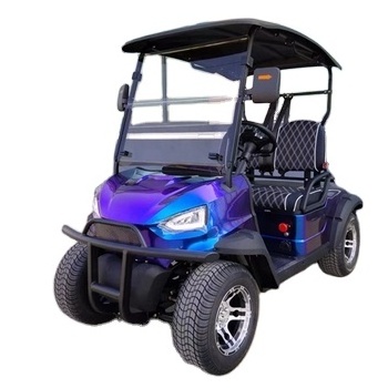 Cheap Luxury  2 Seater Low Speed Vehicle 4 Wheel Drive Push Electric Golf Cart used golf buggy club car For Sale