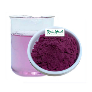 Water Soluble Bulk Natural Freeze Dried Acai Fruit Powder Brazil Acai Berry Powder