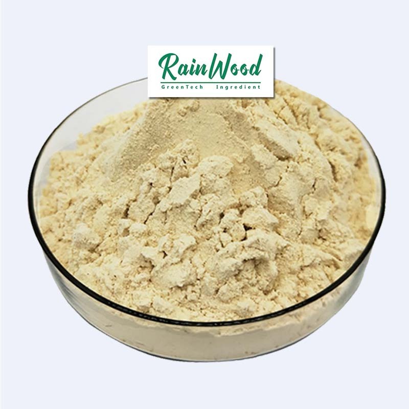 Hot selling Food additive soy protein powder high quality soybean extract powder for sale with good price