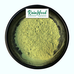 Rainwood supply natural Coriander Powder healthy dried Coriander Powder Natural Spices Coriander Powder