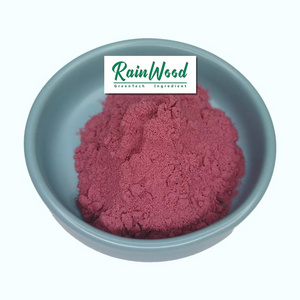 Rainwood supply Food Supplement Raspberry Extract Powder Raspberry Powder for sale