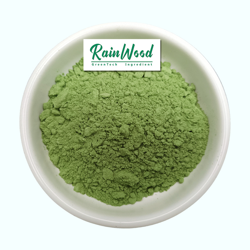 2021 Free Sample Natural Plant Extract Vegetable Spinach Powder Bulk Organic Dried Dehydrated Spinach Juice Powder