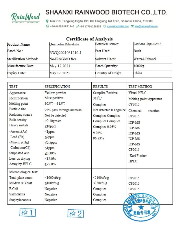 Supply High Quality Sophora Japonica Extract 95% 98% Quercetin Powder