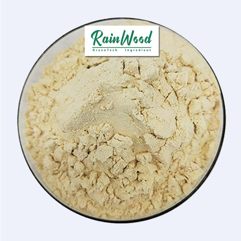 Hot selling Food additive soy protein powder high quality soybean extract powder for sale with good price