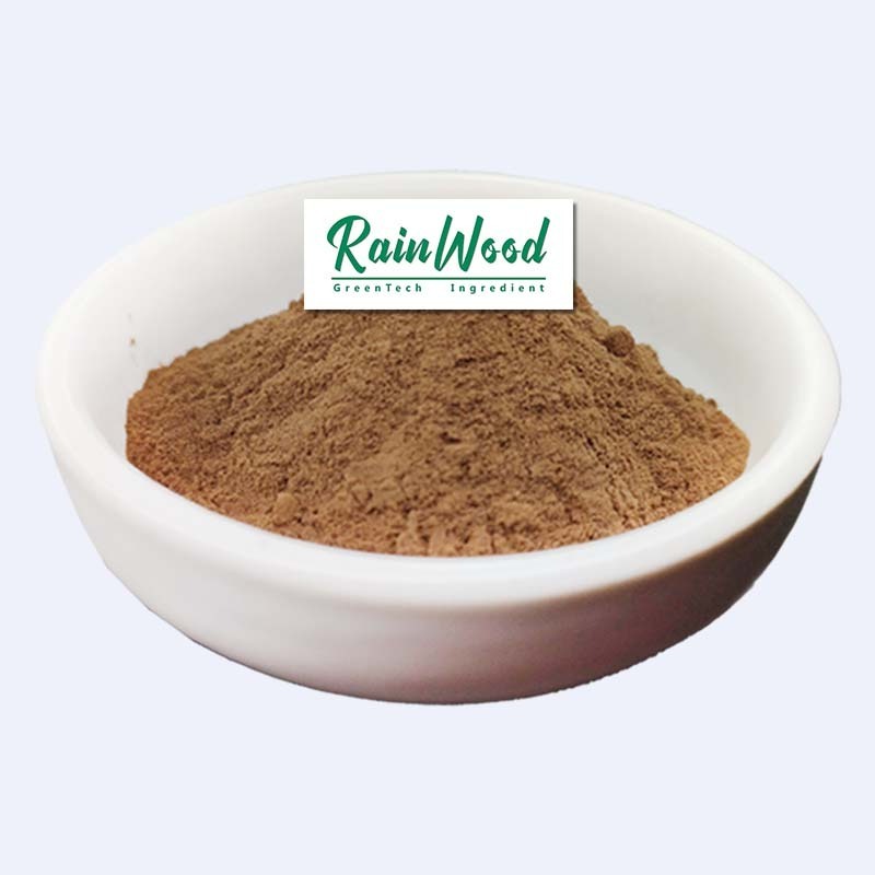 Factory Price Dandelion Root Applied for Tea Bag 100% Pure Botanical Organic Roasted Dandelion Root Extract with Free Sample