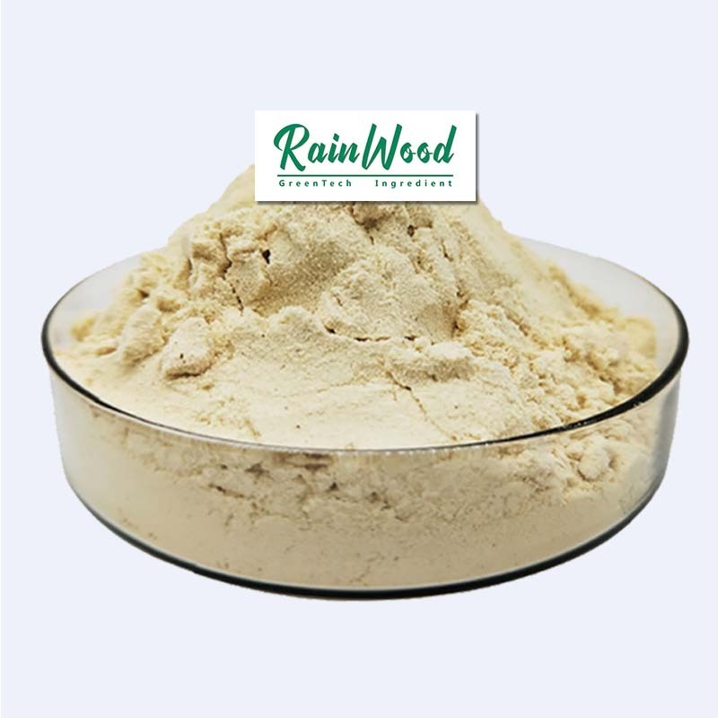 Hot selling Food additive soy protein powder high quality soybean extract powder for sale with good price