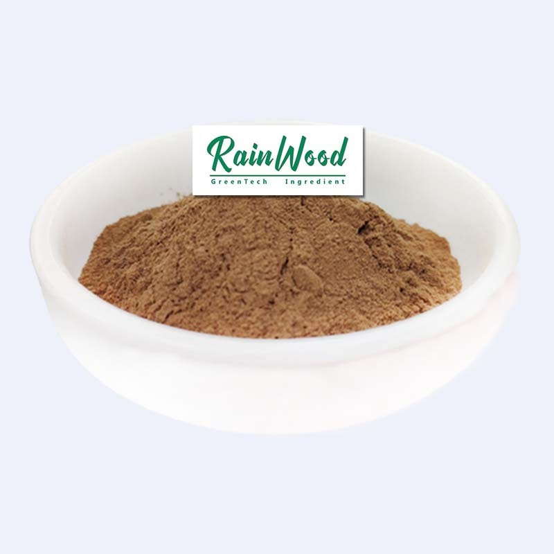 Factory Price Dandelion Root Applied for Tea Bag 100% Pure Botanical Organic Roasted Dandelion Root Extract with Free Sample