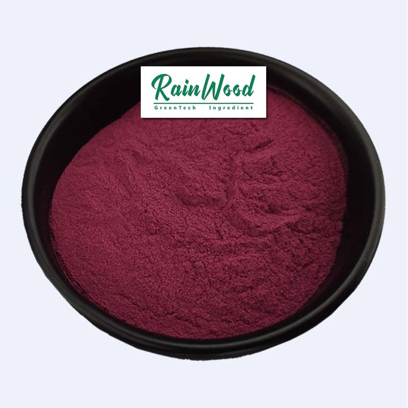 100% pure natural raspberry fruit extract powder with anthocyanin 5%