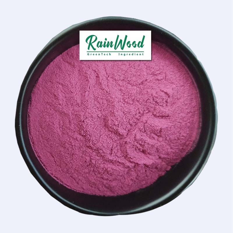 100% pure natural raspberry fruit extract powder with anthocyanin 5%