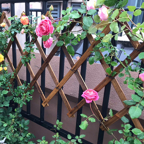 Expandable Wooden Fence Wooden Raw Materials Flower Trellis