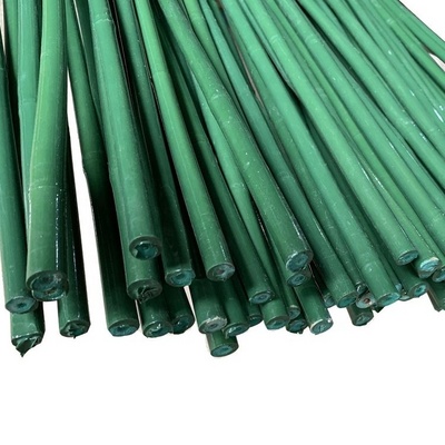 Custom green PVC coated bamboo Treated flower support Tonkin bamboo plastic tube Pole