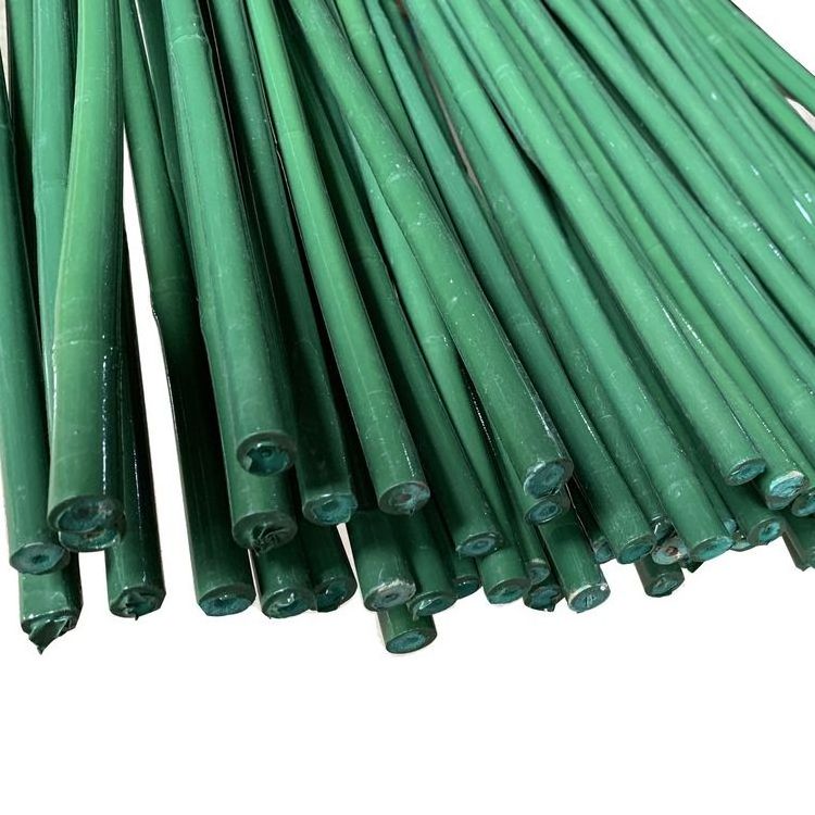 Green PVC coated Bamboo Cane bamboo stakes Artificial Tonkin bamboo Pole for plant