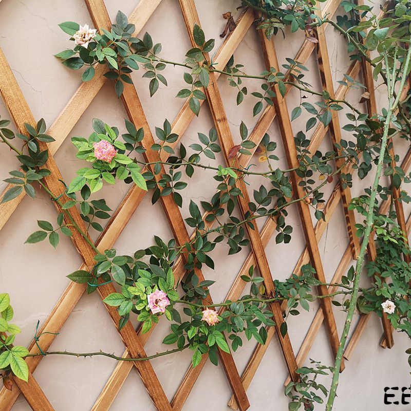 Expandable Wooden Fence Wooden Raw Materials Flower Trellis