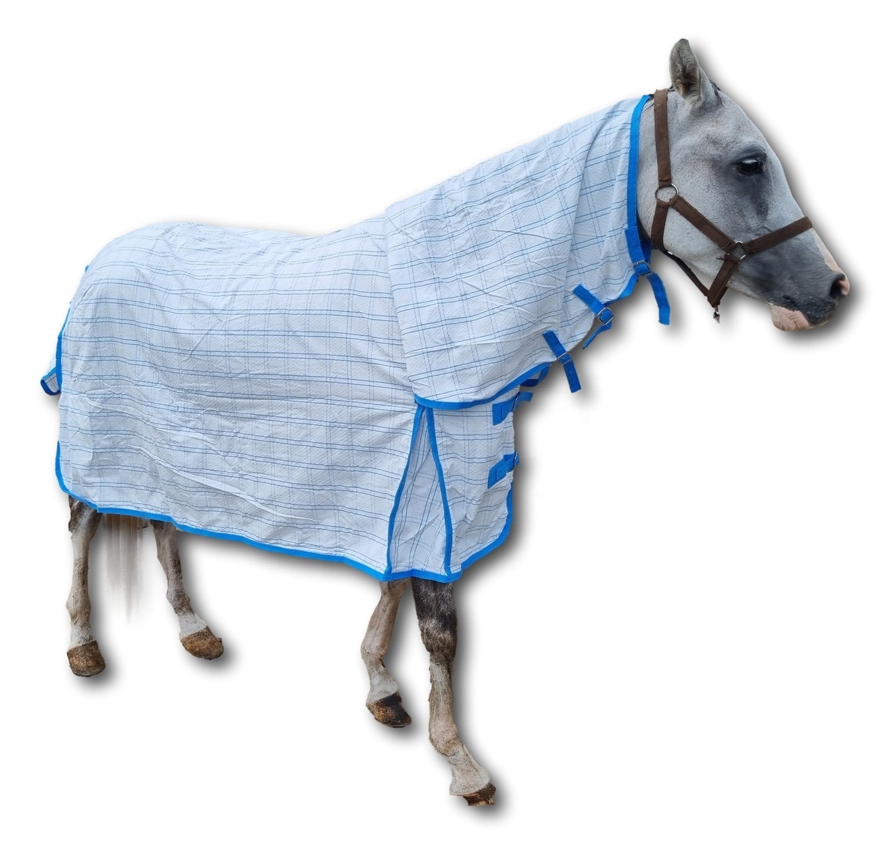 Winter Horse Rug Windproof Waterproof Stable Horse Rug Horse Riding Blanket From Indian Supplier