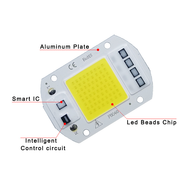 COB LED Lamp Chip AC 220V LED Bulb 10W 20W 30W 50W IP65 High Power Smart IC DIY Flood light Bulb Spotlight Outdoor Chip Lamp