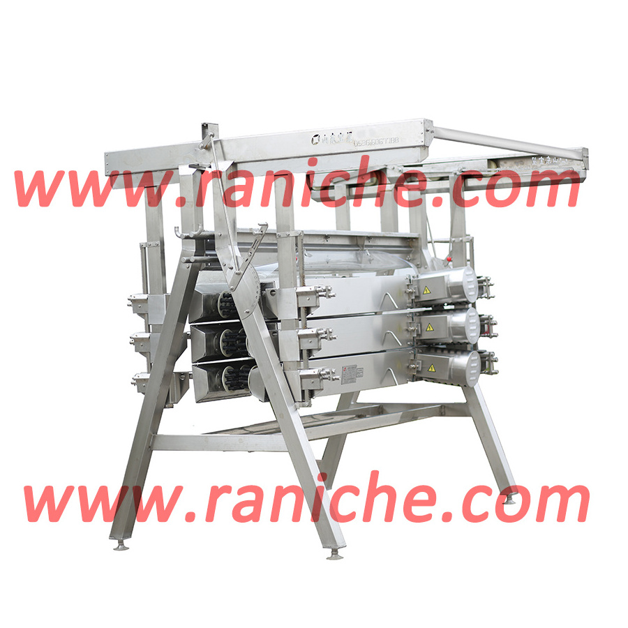 Qingdao Raniche Turkey Processing Plants Broiler Slaughter Slaughterhouse For Chickens Chicken Feet Cutting Machine