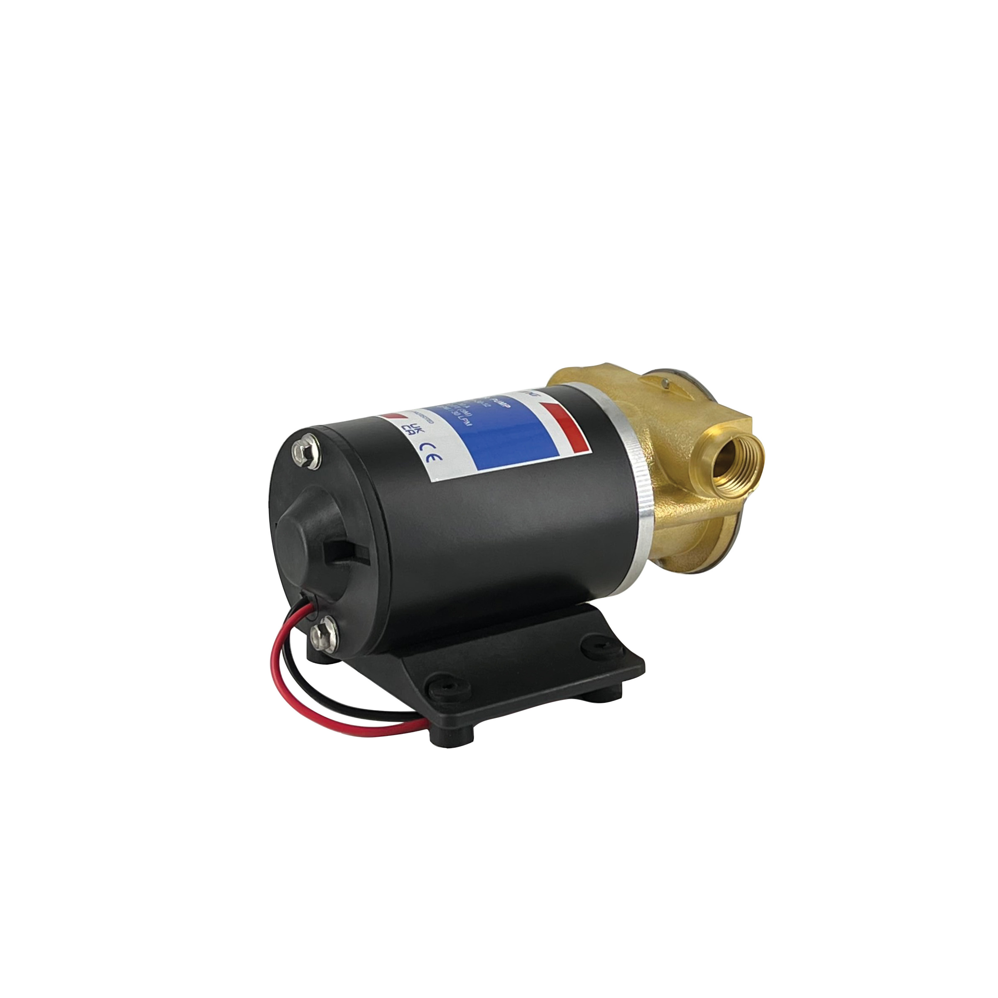 Ranking FIP-30-12  DC 12V 30L Bilge  Pump Self Priming Pump Brass Head Impeller Pump For Marine Boat Dewatering