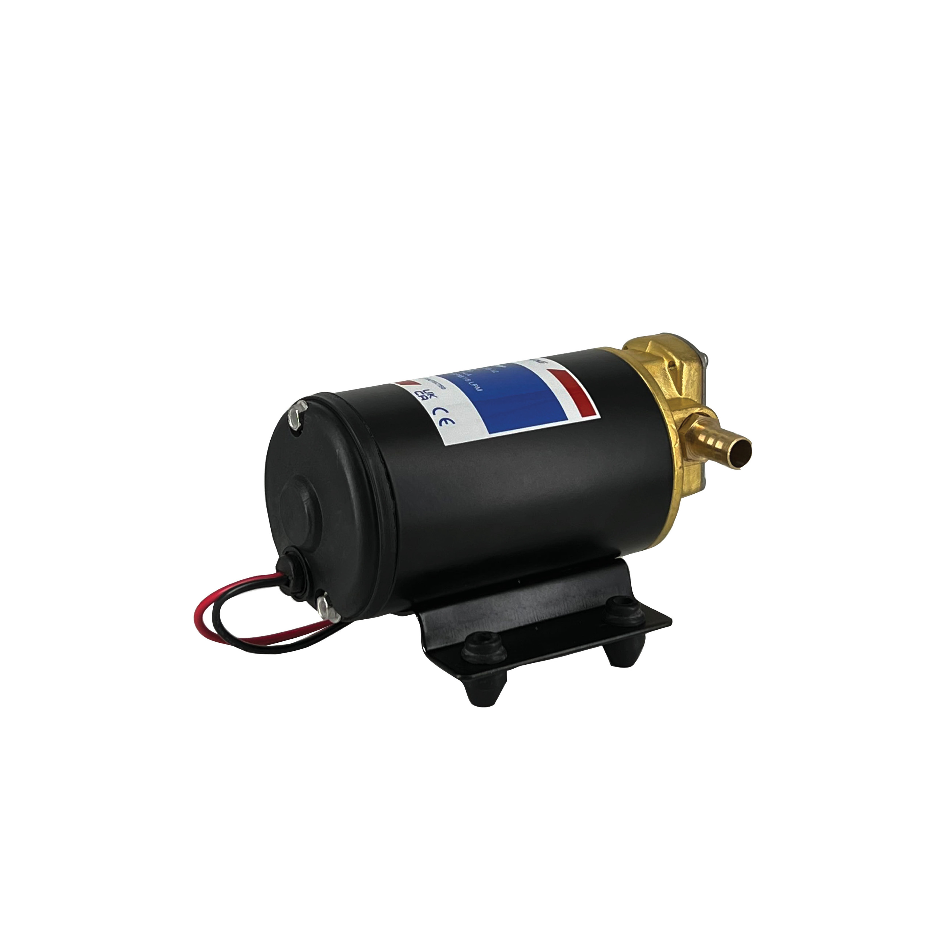 RANKING* 18LPM DC 12V Oil Transfer Pompa Mix Lift 12m  For Thick Corrosion Chemical Liquid Pump With Stainless Steel Shafts