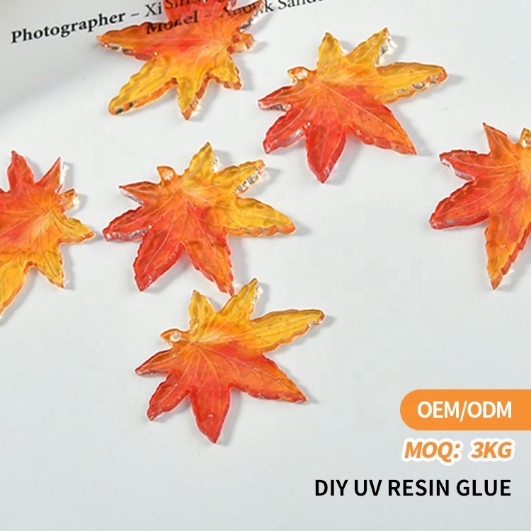 RS NAIL OEM Hard Soft UV Resin Glue Creative Dry Dried Flower DIY UV LED Resin Glue