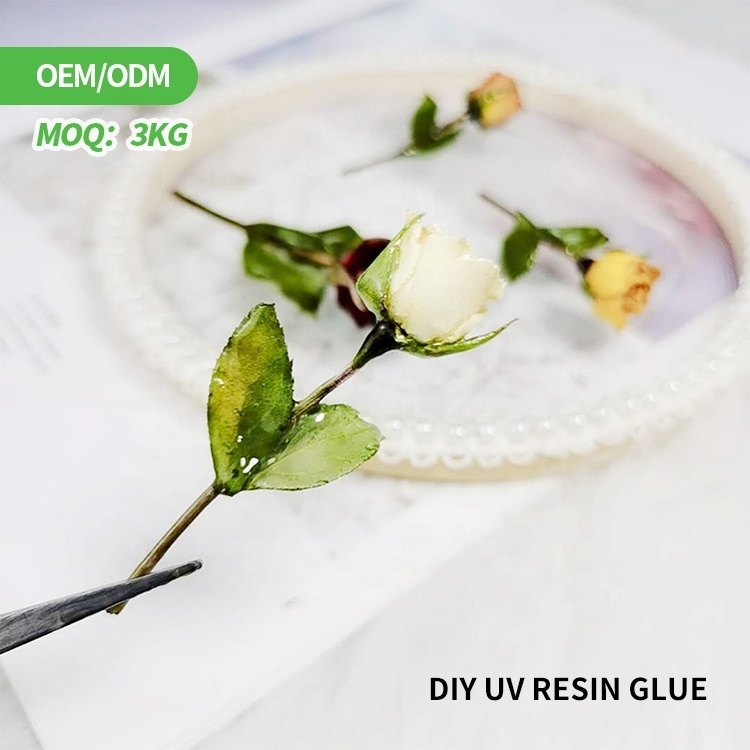 RS NAIL OEM Hard Soft UV Resin Glue Creative Dry Dried Flower DIY UV LED Resin Glue