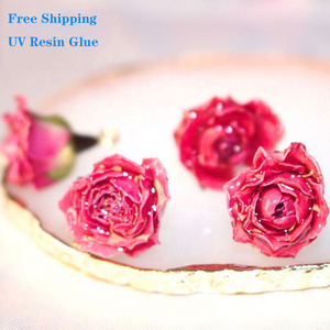 OEM DIY UV RESIN hard clear glue for dried flower home decoration